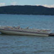 Glen Lake Marine Boat Rentals in Glen Lake Michigan Deck and Pontoon Boats